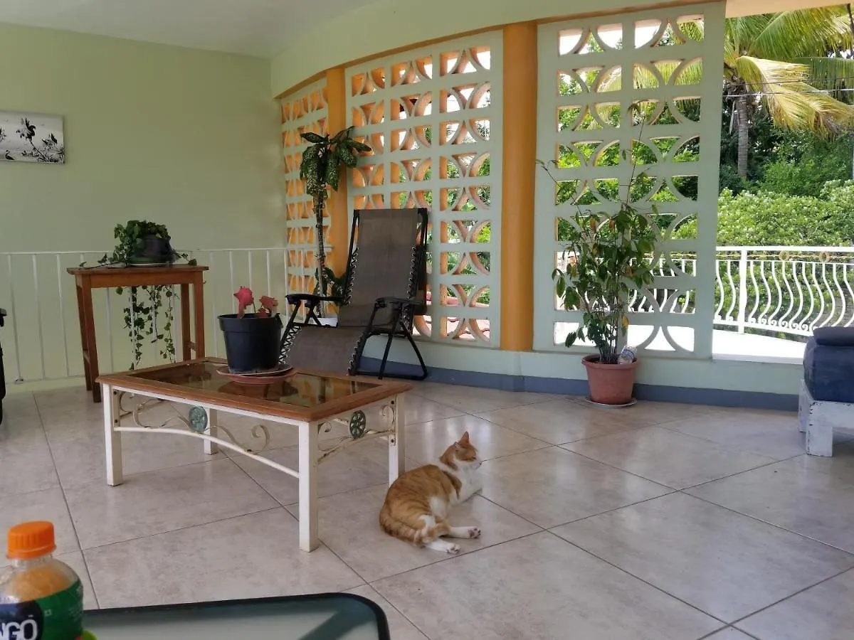 Chaudhry House Montego Bays- 2Nd Floor Apt 0*,  Τζαμάικα